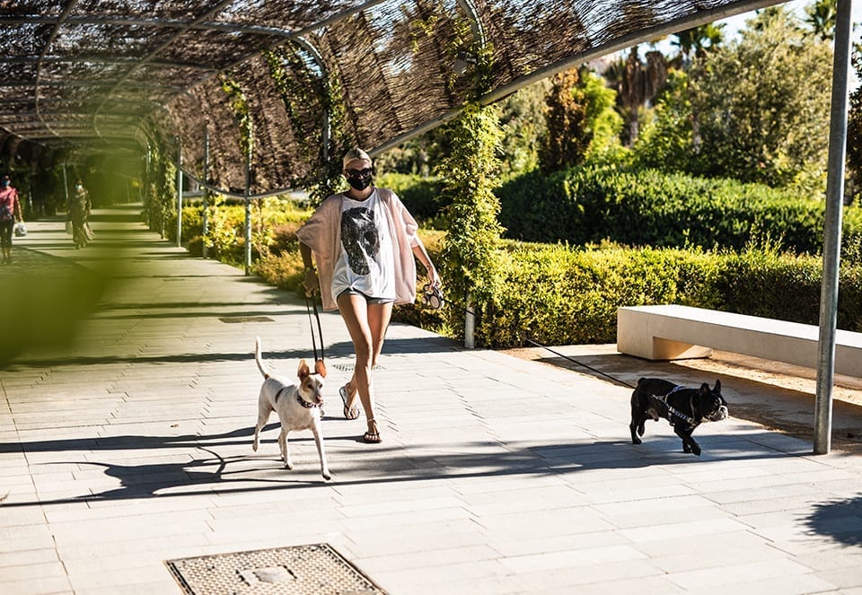 Editorial-Parc-Central-jorgegarciaromeu-3-960-630-05