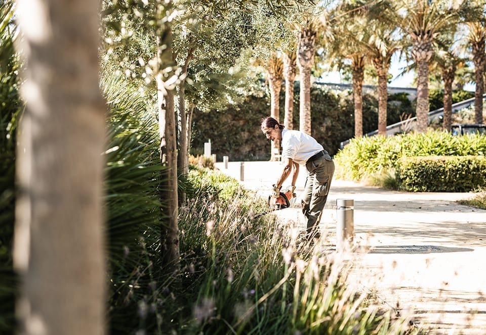 Editorial-Parc-Central-jorgegarciaromeu-3-960-630-09