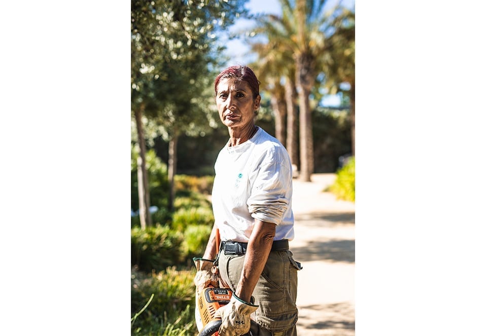 Editorial-Parc-Central-jorgegarciaromeu-3-960-630-10