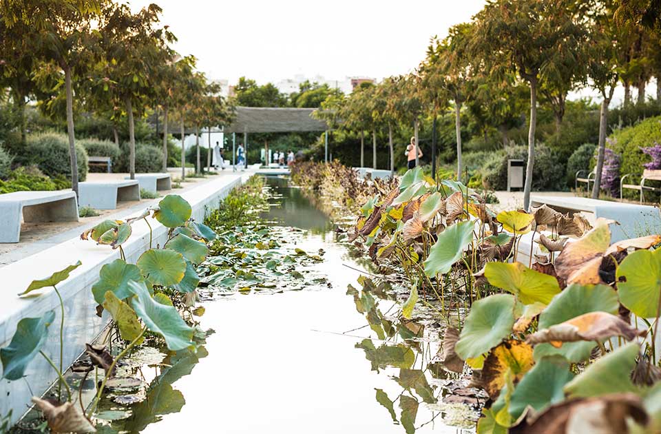 Editorial-Parc-Central-jorgegarciaromeu-3-960-630