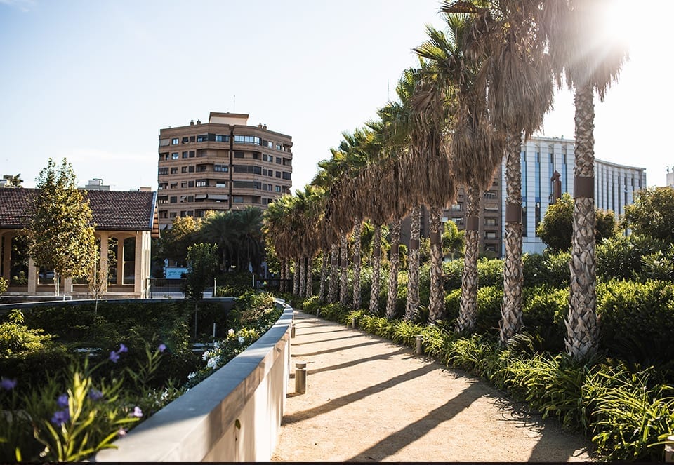 Editorial-Parc-Central-jorgegarciaromeu-960-630-06