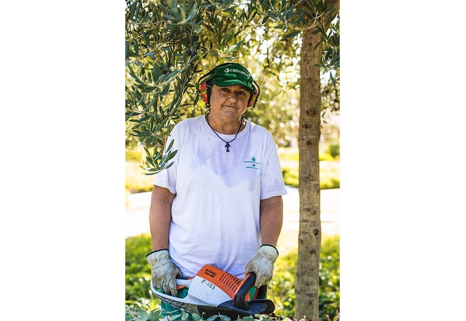 Editorial-Parc-Central-jorgegarciaromeu-960-630-09