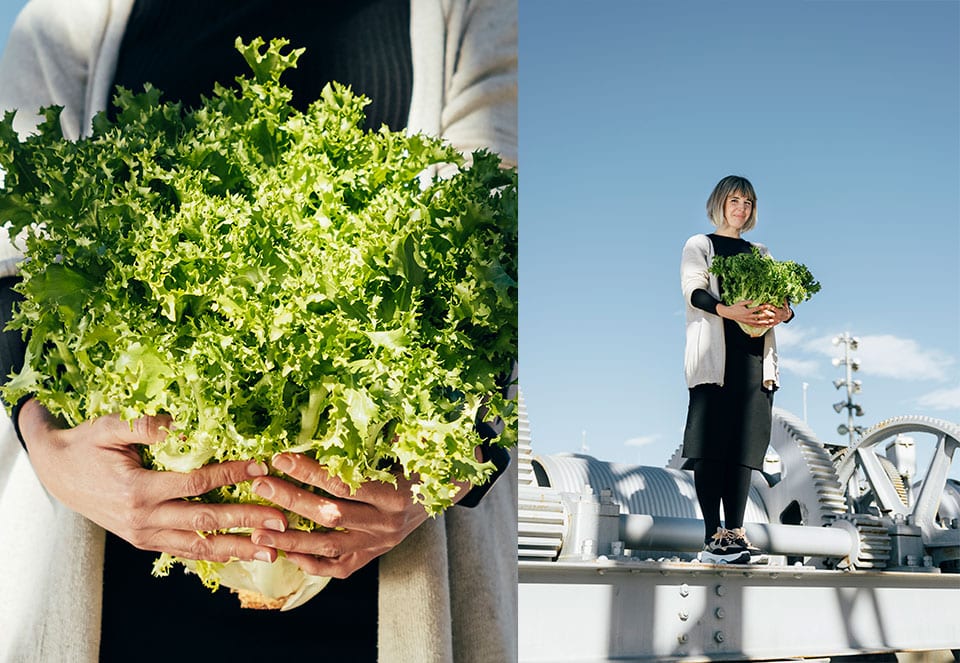 wdc-valencia-paradis-diseno-creatividad-nuria-vila