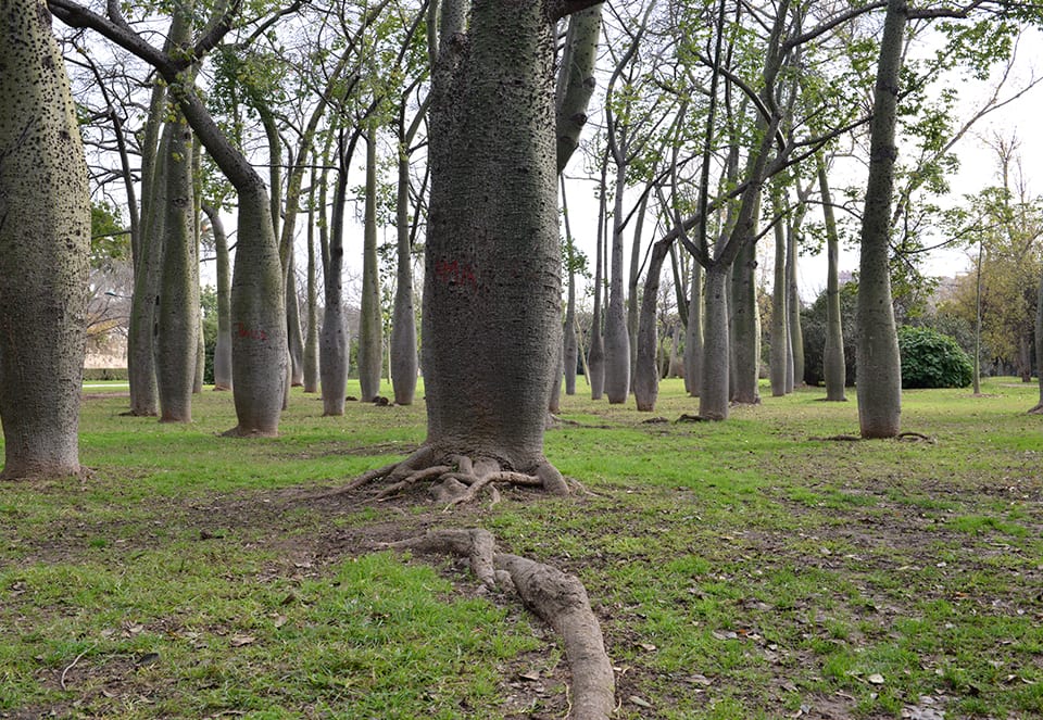 jardines-del-turia-valencia-06