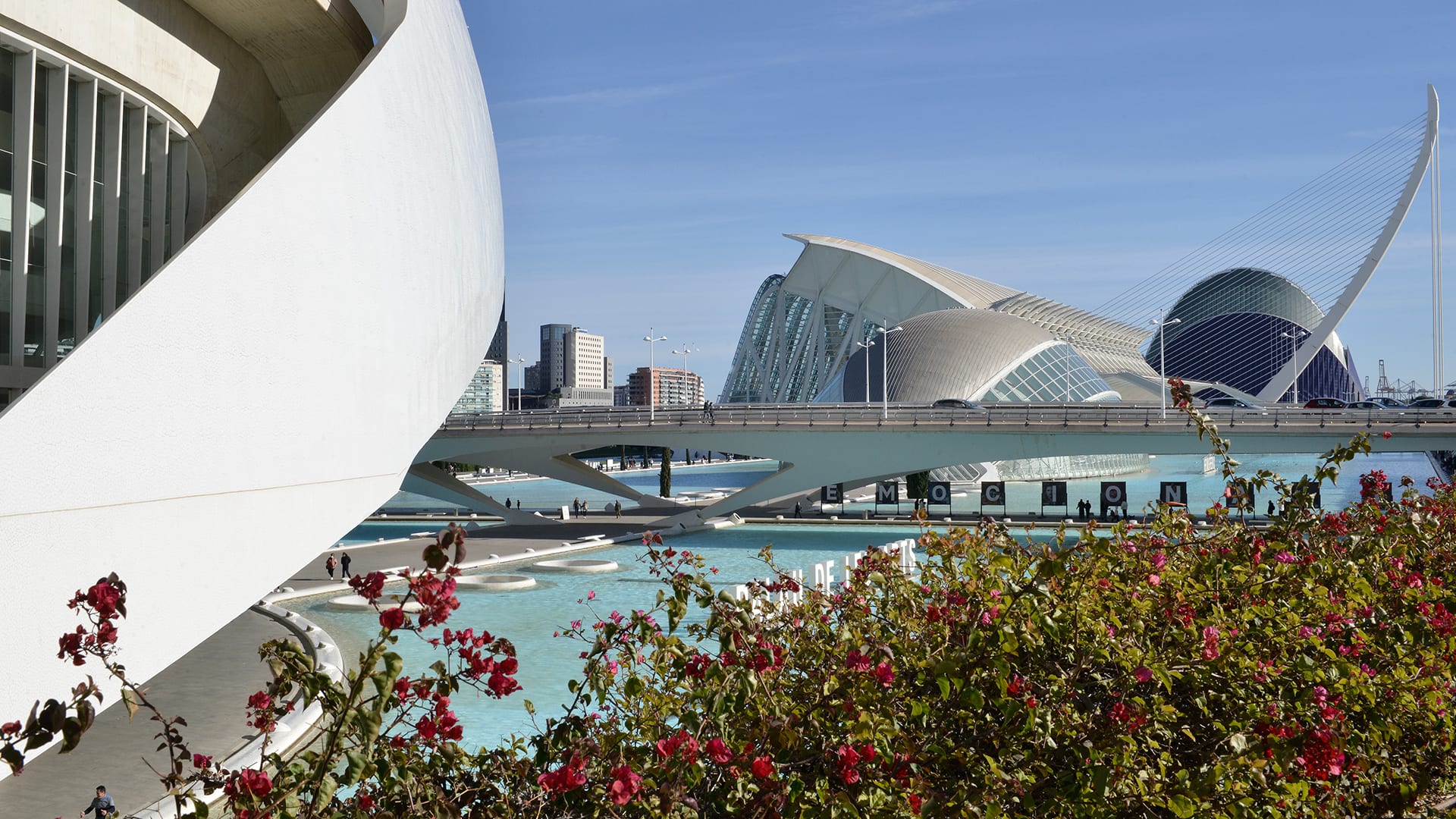 jardines-del-turia-valencia-07